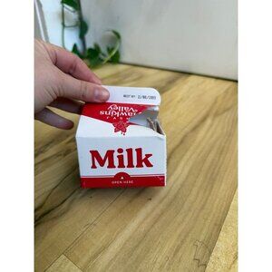 Stranger Things–Inspired Milk Carton